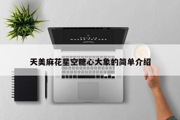 天美麻花星空糖心大象的简单介绍