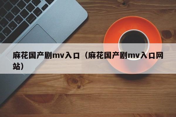 麻花国产剧mv入口（麻花国产剧mv入口网站）