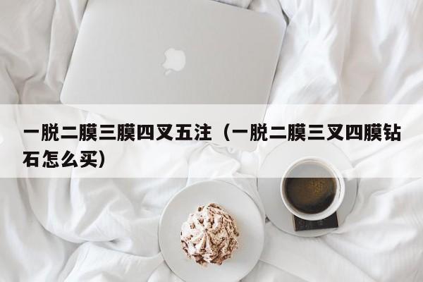 一脱二膜三膜四叉五注（一脱二膜三叉四膜钻石怎么买）